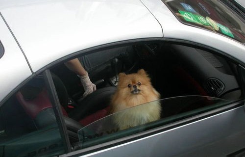 标致206cc敞篷报价(标致206cc敞篷跑车多少钱)