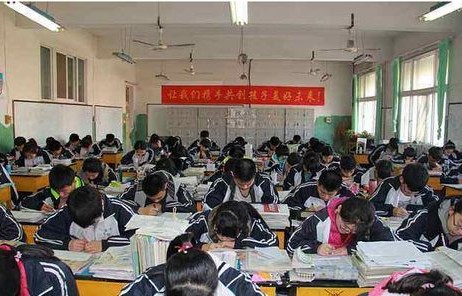 大学生搬牛生活，白天课堂与夜晚的挑战