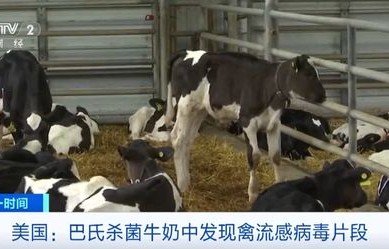 黑龙江牛群遭遇神秘袭击，不明动物咬伤牛只，满地血迹揭真相