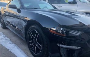 野马全部车型价格表(野马跑车多少钱一辆)