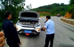 云南女子驾车遭遇惊魂一刻，六头野猪从山上掉落