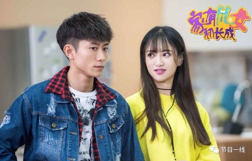 短剧镇北龙帅的魅力与影响