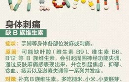 身体缺这四种营养素，警惕脱发风险！