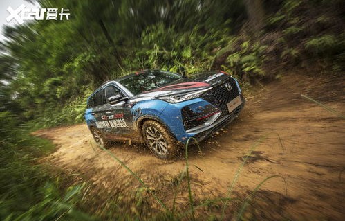 买cs75的十大忠告(买cs75plus的十大忠告)