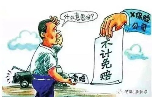 车险一般买哪几种就够了(车险买这四个险就够了)