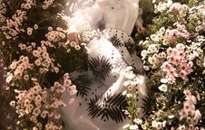 刘亦菲与刘诗诗携手亮相芭莎开年刊，时尚风华再创辉煌