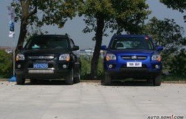 东风悦达起亚狮跑(东风悦达起亚狮跑2009款碰撞测试)