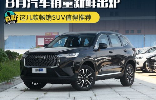 国产suv销量排名(中国suv销量排行榜)