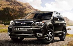 斯巴鲁一般什么人买(开斯巴鲁的都是奇葩)