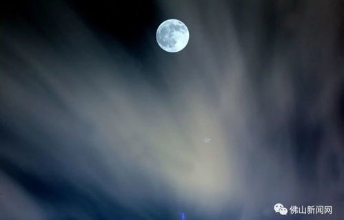 快看啊！那超级大的月亮！