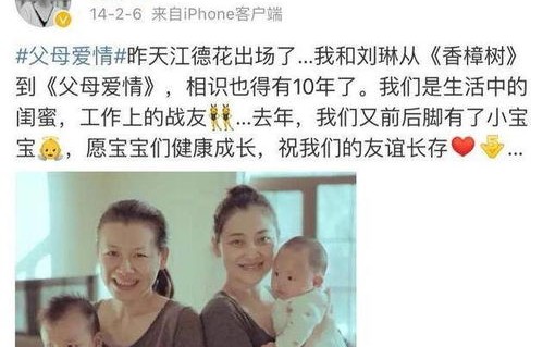 短剧抓娃娃之父凭女贵——32集的家族情感与人生百态
