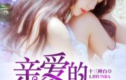 短剧离婚后，我和美女总裁同居的深度解析