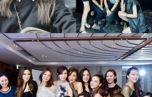 短剧我的双胞胎姐妹——51集的家族情感之旅