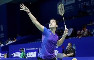 许昕因伤退赛，体育竞技中的遗憾与坚韧