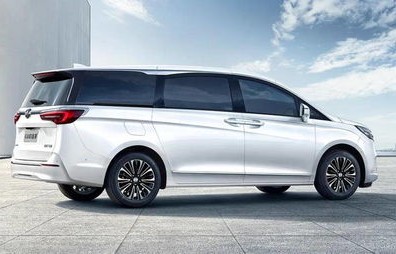 大七座mpv商务车大全(大七座mpv商务车大全便宜)