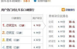 买车网站哪个好排名(买车 网站)