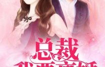 短剧离婚后她怀了帝国总裁的崽——84集的精彩纷呈