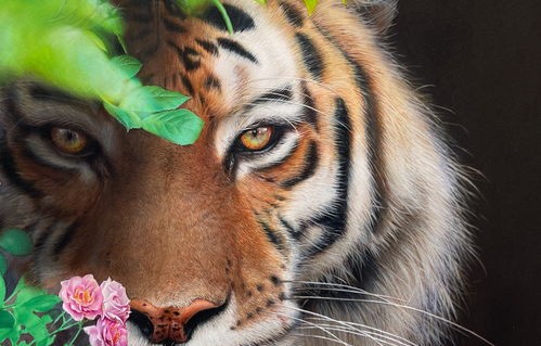 心有猛虎细嗅蔷薇，短剧的魅力与深度