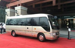 豪华考斯特商务车(考斯特高端商务车)