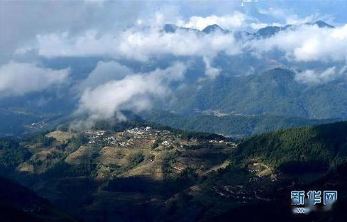 专家解读为何哀牢山是禁区