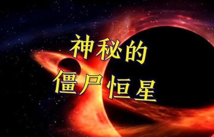 探索短剧神秘酒店之无限重生的魅力世界