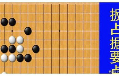 媒体点赞，中国围棋协会反制策略的智慧与勇气