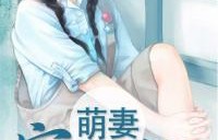 短剧替嫁娇妻宠上天合集，爱与宠的交织篇章