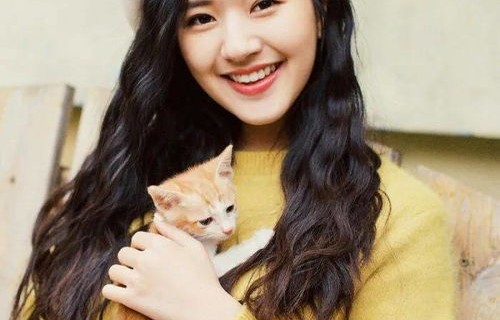 体坛周报记者致赵露思的公开道歉