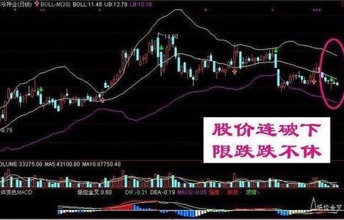 炒股之选,为何炒股而非煎、煮、蒸、炖股?