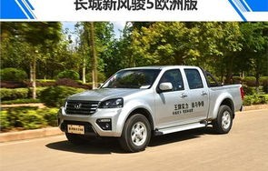 3万一4万新车皮卡长城(长城皮卡45万价格汽车之家)