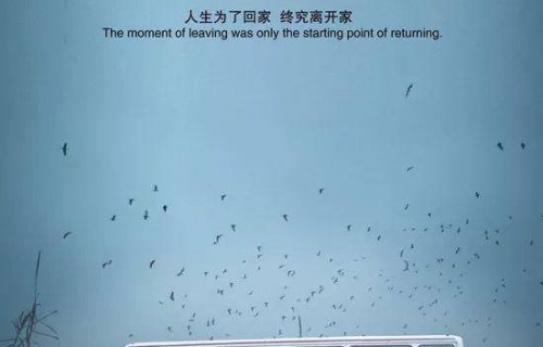 漫长的回家路——一部66集短剧的深度解读