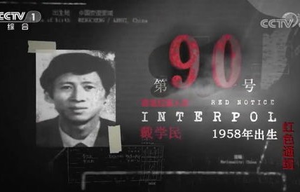 短剧娇妻出逃记，百集情感大戏