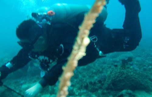 喜讯，7名潜水失联中国游客全部安全找到