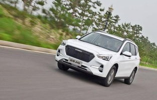 为什么多傻子买哈弗m6(哈弗m6为什么比h6便宜)