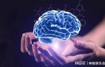 躺平现象，大脑的自我保护机制