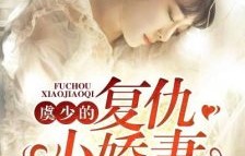 夜少的复仇娇妻——一部引人入胜的80集短剧