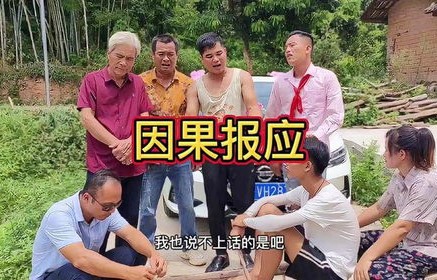 短剧回村的诱惑，94集的乡村故事