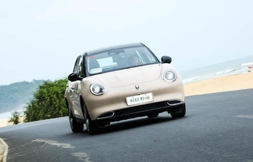 欧拉好猫(欧拉好猫4s)