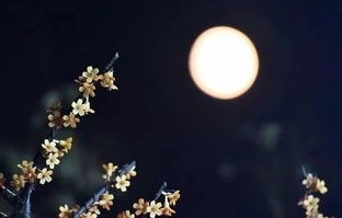 短剧又是一轮中秋月——42集的月圆之夜情感之旅