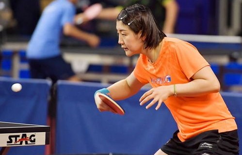 张继科开业球馆，独特体验，不对外营业