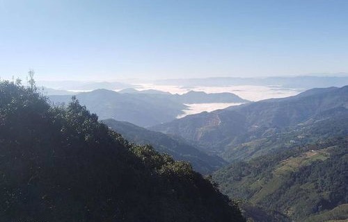 揭秘哀牢山，世界上最神秘的鸟首次现身