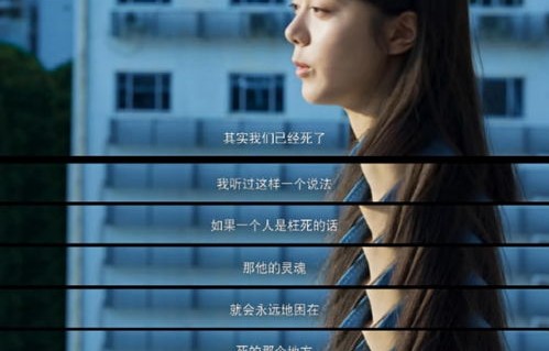 昆仑帝师，九十八集短剧的魅力与深度