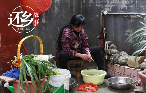 重逢的味道——女子离家五年后一口尝出妈妈包的饺子