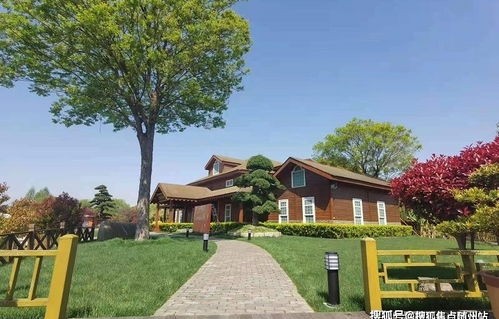 宝马官网查询车辆信息(奔驰车架号查询车辆信息)