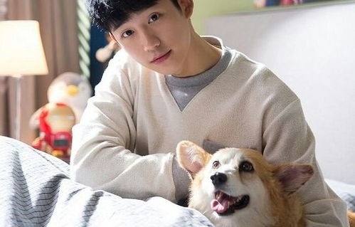 短剧顾少超甜，想做姐姐的小奶狗（93集）