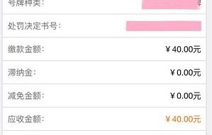 苏州车辆违章查询官网查询系统(苏州市车辆违章查询官方网站)