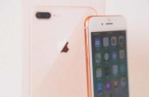 iphone8plus刚上市的价格（iphone8plus刚发布的价格）