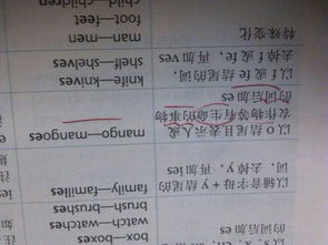 photo(photo的复数)