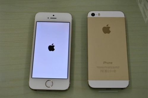 iphone5s上市价格（iphone5se上市价格）