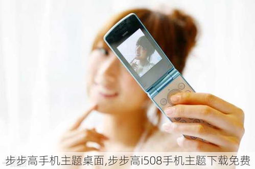 步步高i606主题下载（步步高手机主题下载）